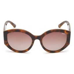 IDEE Brown Cat Eye Sunglasses for Women-picture-18