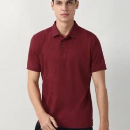 Peter England Maroon Cotton Regular Fit Polo T-Shirt-picture-16