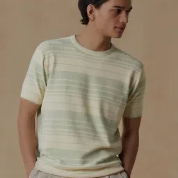 ANDAMEN Light Green Regular Fit Striped Cotton Crew T-Shirt-image-47