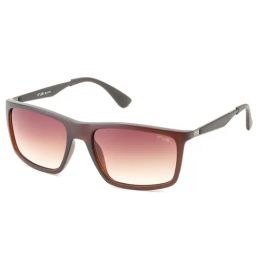 Irus Brown Rectangular UV Protection Sunglasses for Men-image-30
