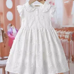 INCLUD Girls Embroidered Peter Pan Collar Flutter Sleeve Fit & Flare Dress-image-45