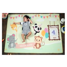 New Comers Milestone Blanket And Props For Baby'S Monthly Photoshoot - Blue-image-82