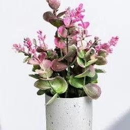 De Gardenia Pink Eucalyptus Artificial Plant With Pot-picture-14