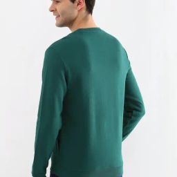 Allen Solly Green Regular Fit Colour Block Sweatshirt image 2