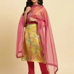 W Pink Zari Work Dupatta-picture-37