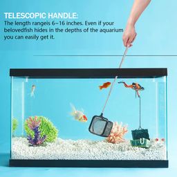 qpets Fishing Net, Small Aquarium Fish Net for Betta Fish Tank, Stainless Steel Handle Square Fish Net for Catching for Small Fish Tank Betta Fish Tank (3 Inch Fish Net) image 5
