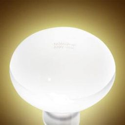 ivelect E27 Tortoise Reptile Vivarium Light Beneficial UVA Basking Lamp Heat Bulb 50W image 5