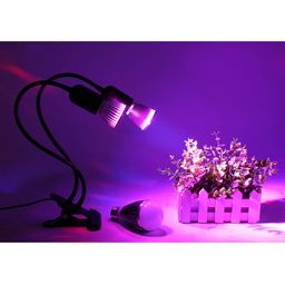 Club Bollywood®EU Plug E27 2-Head Clip On Reading Light Base Desk Reading Lamp Socket Black|Home & Garden | Lamps|1 Piece Dual-Head Clip Reading Light (Not Include Lightbulbs) image 1