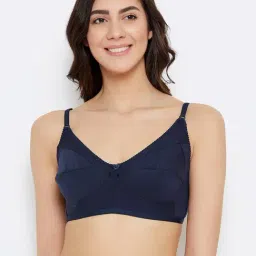 Clovia Blue Non Wired Non Padded Full Coverage Bra-picture-19
