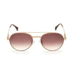 Image IMS739C3SG Brown Pilot Sunglasses-picture-33