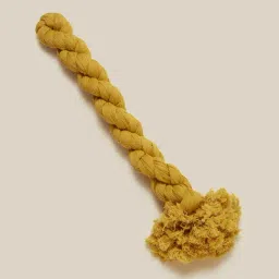 Utsa by Westside Mustard Crushed Dupatta-20