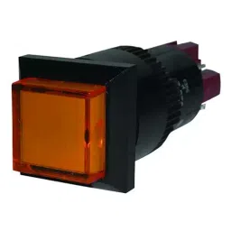 EAO SWITCH, PUSHBUTTON, DPDT, 5A, 250V, 01-282.025-80