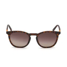 Timberland Brown Wayfarer Sunglasses for Men-23