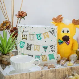 Goodhomes Self Multicolor Paper Napkin - Pack of 2-20