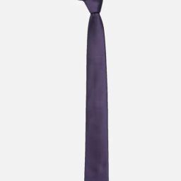Allen Solly Purple Textured Tie-image-97