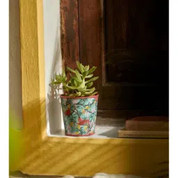 Chumbak Bucket List Green & Red Planter - Set of 1-image-56