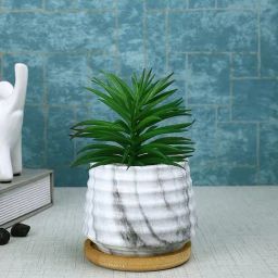Tayhaa White & Green Plastic Succulent Artificial Plant with Pot-image-68