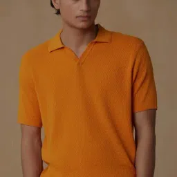ANDAMEN Orange Regular Fit Textured Cotton Polo T-Shirt-image-71