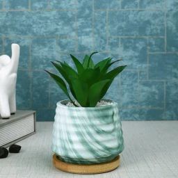 Tayhaa White & Green Ceramic Succulent Artificial Plant with Pot-image-29