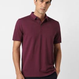Van Heusen Maroon Cotton Regular Fit Polo T-Shirt-image-84