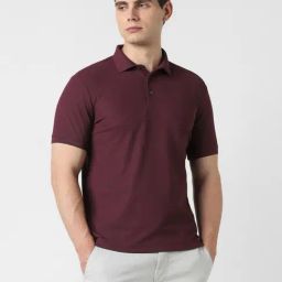 Van Heusen Maroon Cotton Regular Fit Polo T-Shirt-image-46