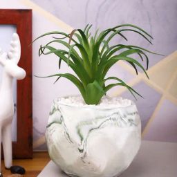 Tayhaa White & Green Plastic Fig Artificial Plant with Pot-image-67