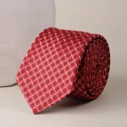 Allen Solly Red Embroidered Tie-image-55