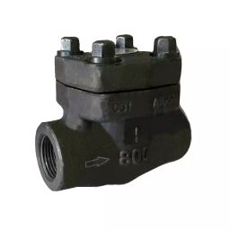 TS Flow 50 mm F-22 Socket Weld End Forge Check Valve Class-800 image 1