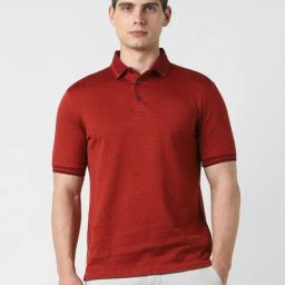 Van Heusen Red Cotton Regular Fit Polo T-Shirt-image-20