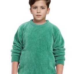 Rare Ones Boys Green Cotton Solid Sweater-image-82