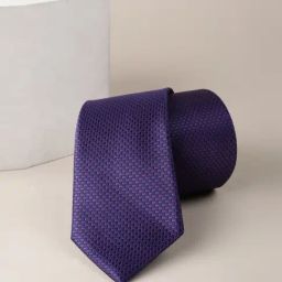 Allen Solly Purple Embroidered Tie-image-70