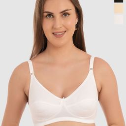 DressBerry Women Pack Of 3 Medium Coverage Non Padded T-shirt Bra-28