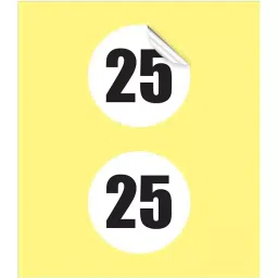 Sticker Bazaar M3 Number 25 Printed Labels 12 mm Dia 5100 Labels (Pack of 5)-3