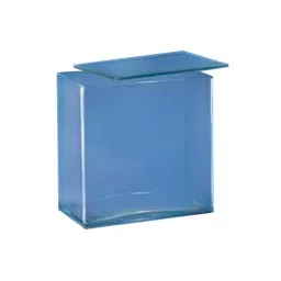 Almicro 26x15x10 cm Rectangular Jar Glass Trough with Lid-47