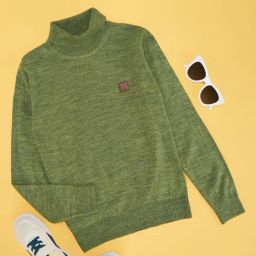 Pantaloons Junior Boys Arcadian Green Sweater-image-33