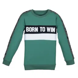 Plum Tree Kids Green Striped Sweatshirt-image-19