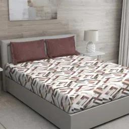GM 'Matthiola' Brown Cotton 150 TC Double Bedsheet with 2 Pillow Covers-image-98