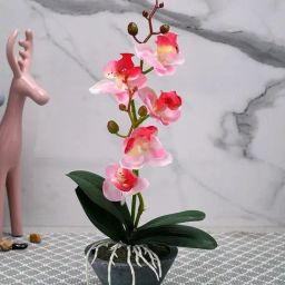Tayhaa Grey & Pink Plastic Orchid Artificial Plant with Pot-picture-21