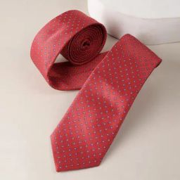 Allen Solly Red Embroidered Tie-image-61