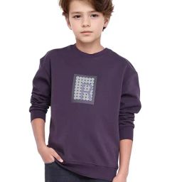 Rare Ones Boys Purple Cotton Printed Sweatshirt-image-16