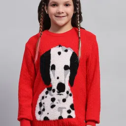 Monte Carlo Girls Woollen Round Neck Full Sleeve Top-picture-43