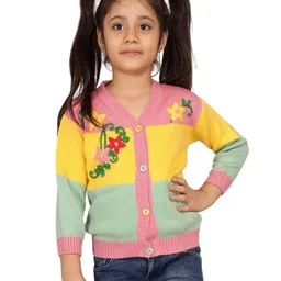 JoE Hazel Full Sleeves Floral Embroidered Colour Blocked Cardigan Sweater - Multi Colour-picture-31