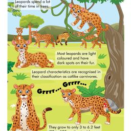 dreamland publications Explore the Jungle Activity Book with Stickers and 3D Models image 5