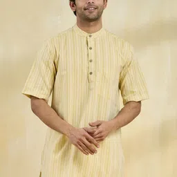 Fabindia Striped Band Collar Cotton Straight Kurta-28
