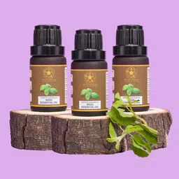 ULLASSA Set Of 3 Basil Essential Oil- 10 ml Each-36