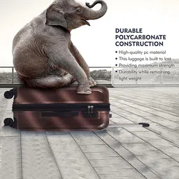 Luggero 360-Degree Rotation Set Of 2 Textured Trolley Suitcase image 4