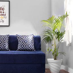 Solis Primus Comfort for all Blue Foam Fold Out Sofa Cum Bed-image-62