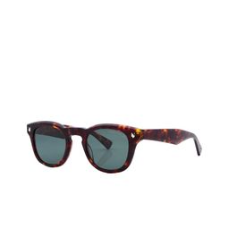 Shisen Fox Unisex Oval Sunglasses with Polarised and UV Protected Lens-17