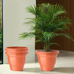 Kuber Industries 3 Pcs Orange-colored Lightweight Planters-26