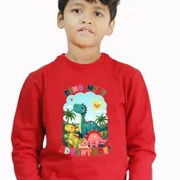 BAESD Boys Printed Round Neck Sweatshirt-picture-7